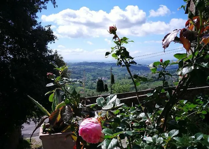 Palazzo Boccella Летний дом Villa Basilica