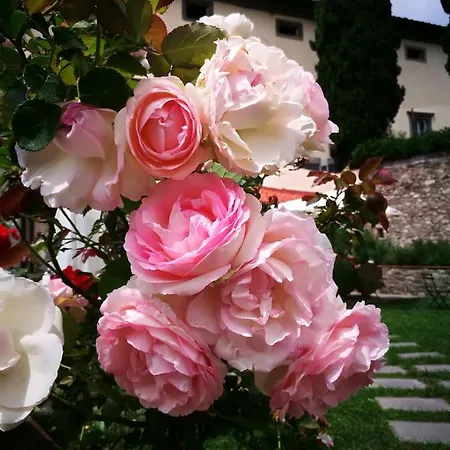 Palazzo Boccella Landhaus