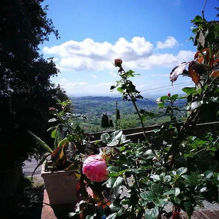 Palazzo Boccella Casa rural Villa Basilica