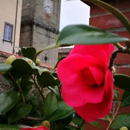 Casa rural Palazzo Boccella